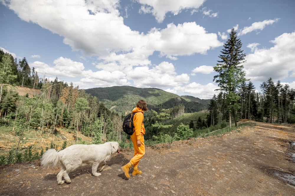 Young person in orange sports suit and backpack walks with her dog on the mountain path in pine forest, side view. Concept of traveling in the mountains
