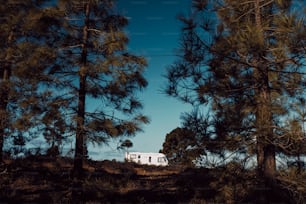 하늘 전망을 감상할 수 있는 자연 속에 주차된 현대적인 캠핑카 밴 모터홈. 사람과 여행 차량 휴가의 개념. 모험 밴라이프 스타일과 유목 생활. 여름 캠프장 휴가.