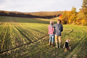Active senior couple with dog on a walk in a beautiful autumn nature. Rear view.