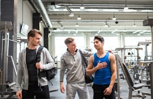 Young male friends with bags in modern gym, greeting each other.