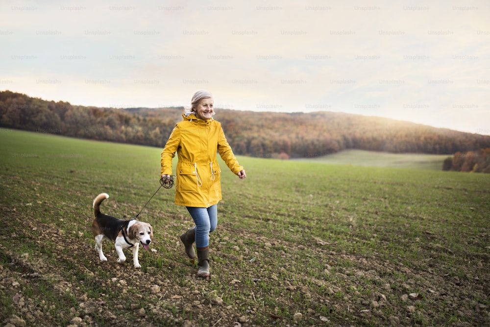 Active senior woman with dog on a walk in a beautiful autumn nature.