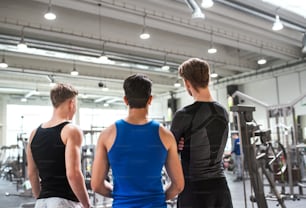Young male friends in modern gym, standing and talking. Rear view.