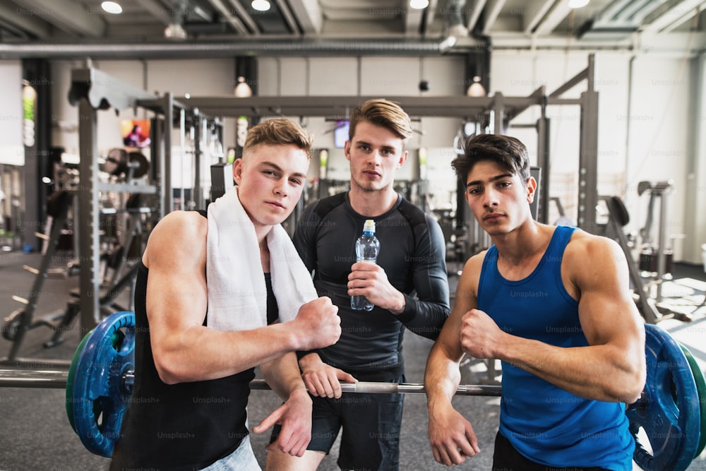 Young male friends in modern gym gym, standing and showing muscles.