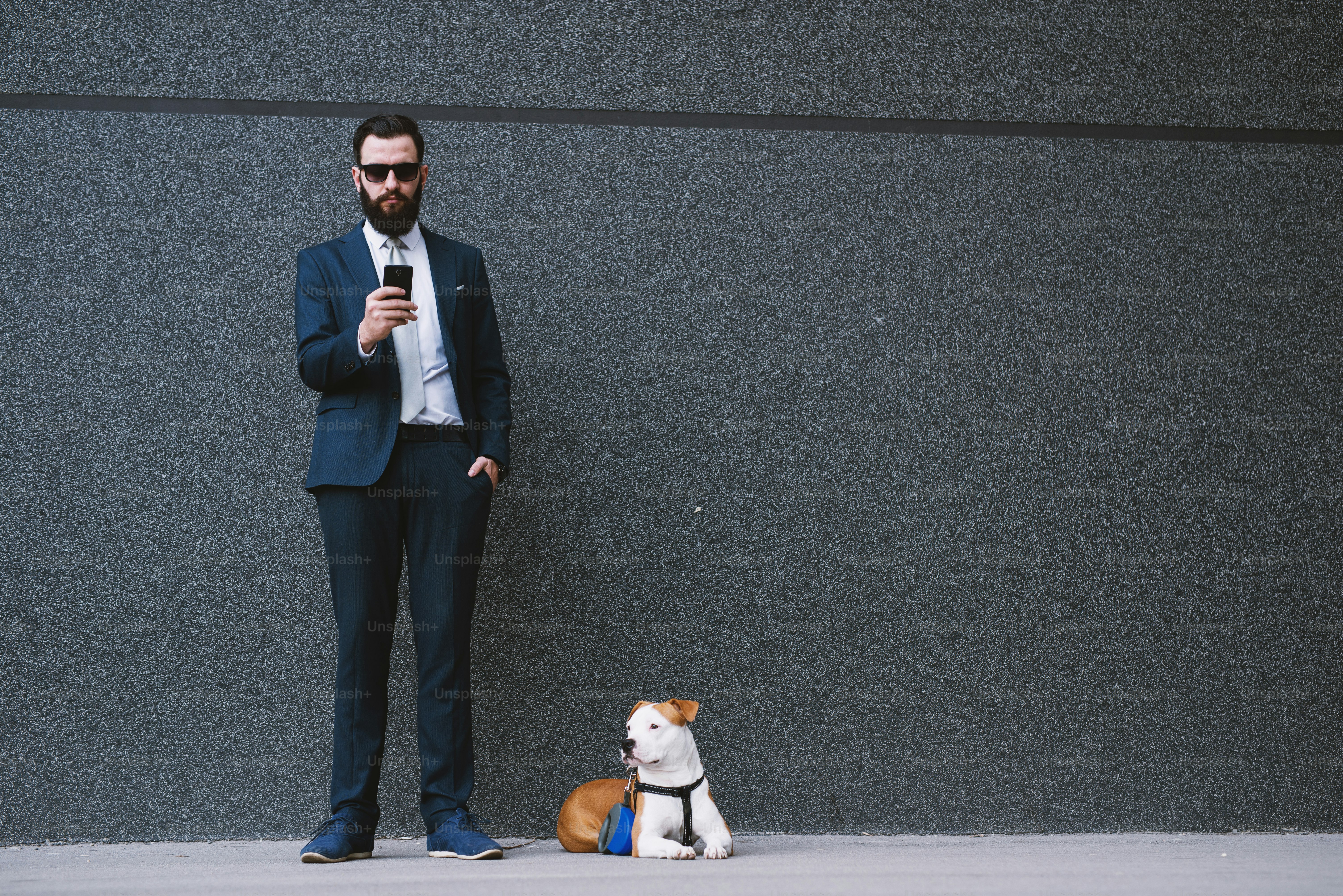 Hombre de negocios paseando perro en la calle. Mejores amigos caminando. Guapo hombre de negocios hipster paseando perro.
