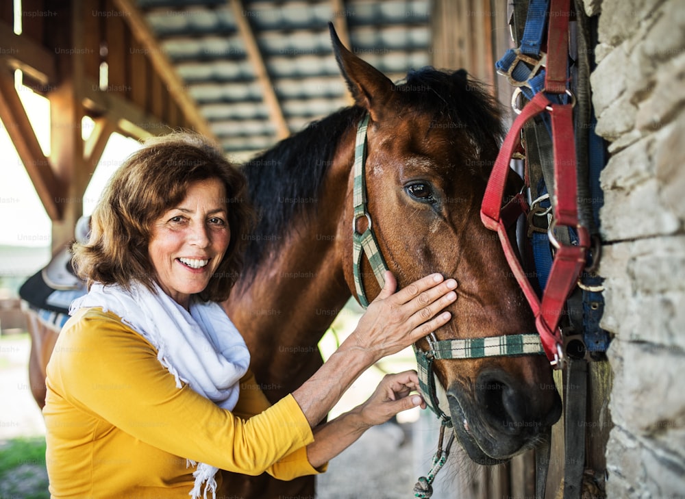 A senior woman with a brown horse standing by a stable.