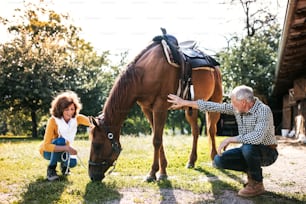 A happy senior couple crouching and a horse grazing by a stable.