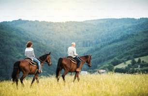 A happy senior couple riding horses on a meadow in nature. Copy space.