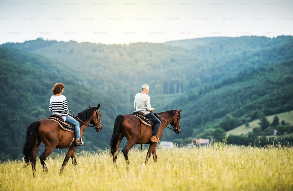 Una feliz pareja de ancianos montando a caballo en un prado en la naturaleza. Espacio de copia.