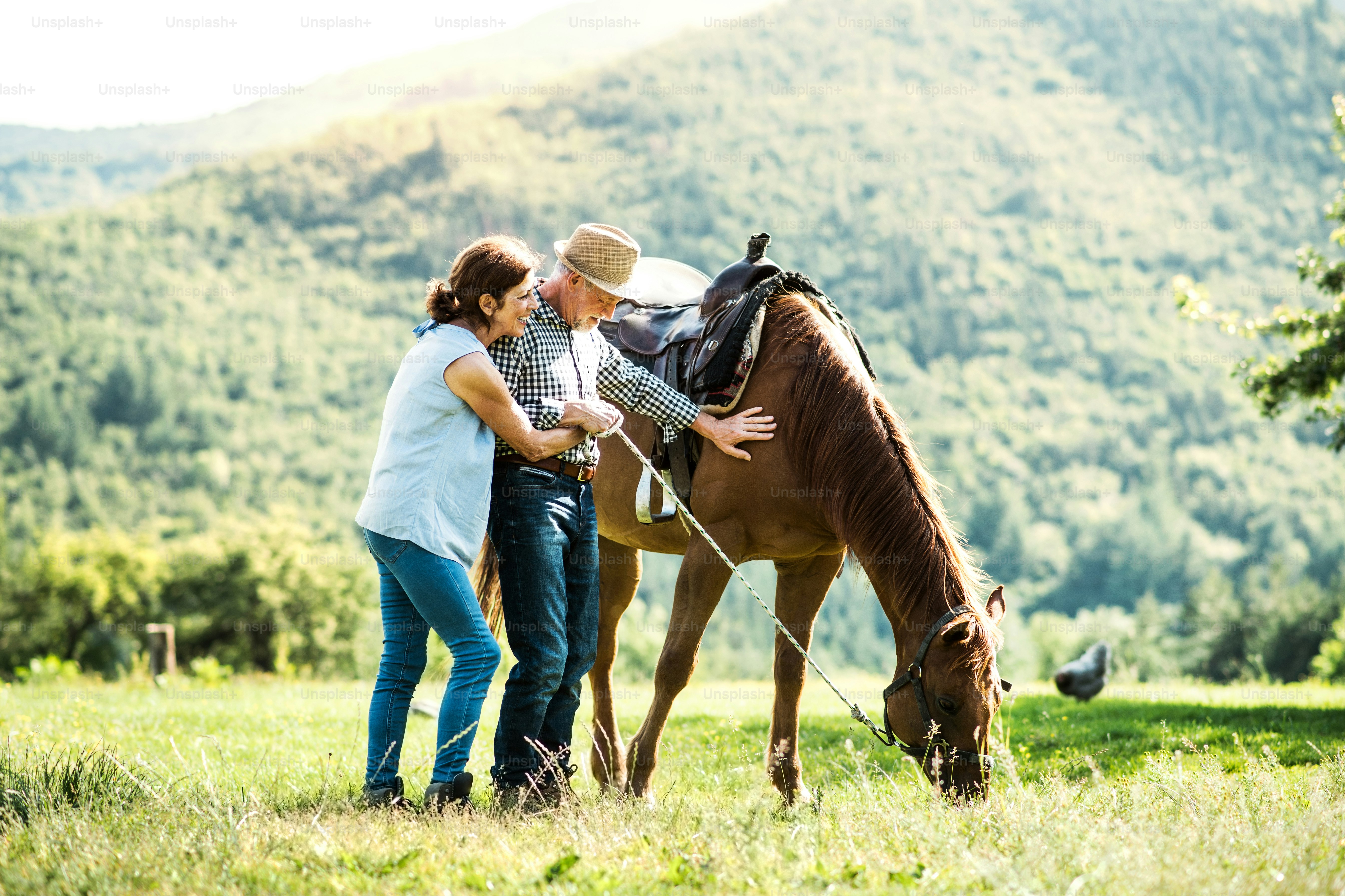 Una feliz pareja de ancianos sosteniendo un caballo pastando en un pastizal.