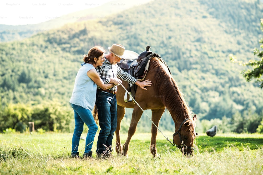 A happy senior couple holding a horse grazing on a pasture.