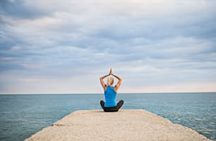 Vista trasera de una joven deportista sentada en un muelle, haciendo ejercicio de yoga junto al océano exterior. Espacio de copia.