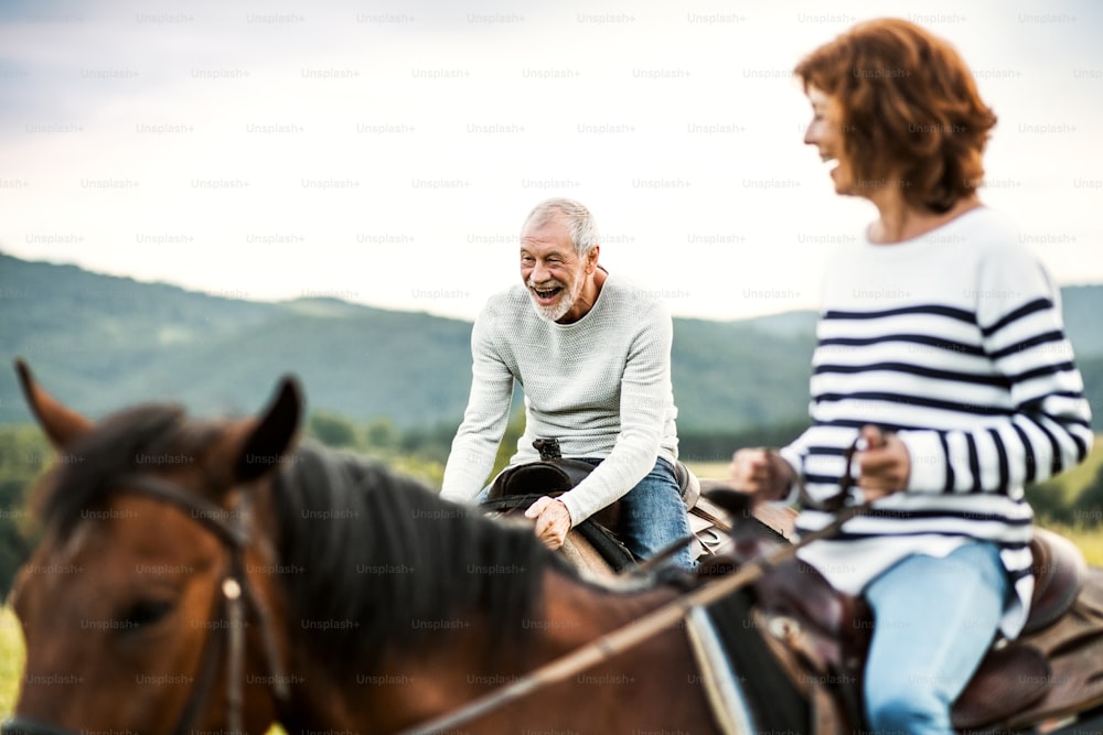 Una feliz pareja de ancianos montando a caballo en un prado en la naturaleza.