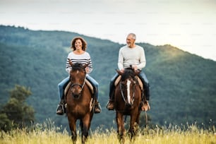 A happy senior couple riding horses on a meadow in nature.