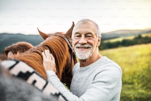 A happy senior man standing close to a horse outdoors in nature, holding it.