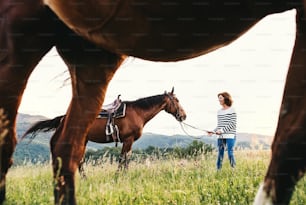 Eine glückliche ältere Frau, die draußen auf einer Weide ein Pferd an der Leine hält.