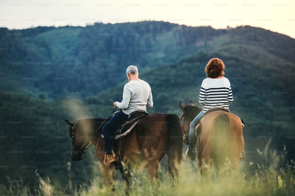Una vista posteriore di una coppia di anziani felici che cavalcano cavalli su un prato nella natura.