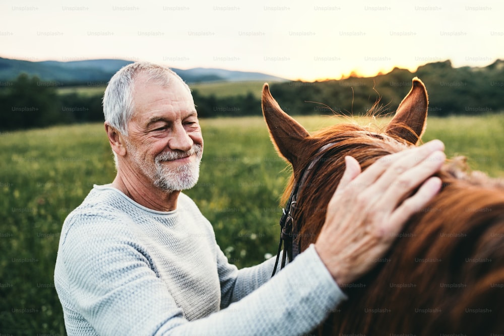 A happy senior man standing close to a horse outdoors in nature, stroking it.