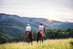 Una vista trasera de una feliz pareja de ancianos montando a caballo en un prado en la naturaleza.