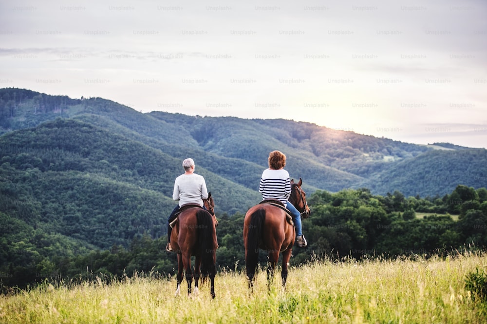 Una vista trasera de una feliz pareja de ancianos montando a caballo en un prado en la naturaleza.