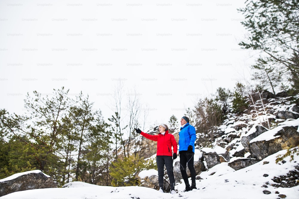 시니어 커플 러너들은 겨울 자연 속에 밖에 서서 휴식을 취하고 있습니다.
