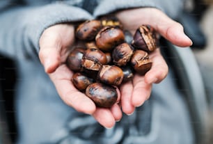 A close-up of hands of senior woman holding roasted chestnut outdoors in winter.