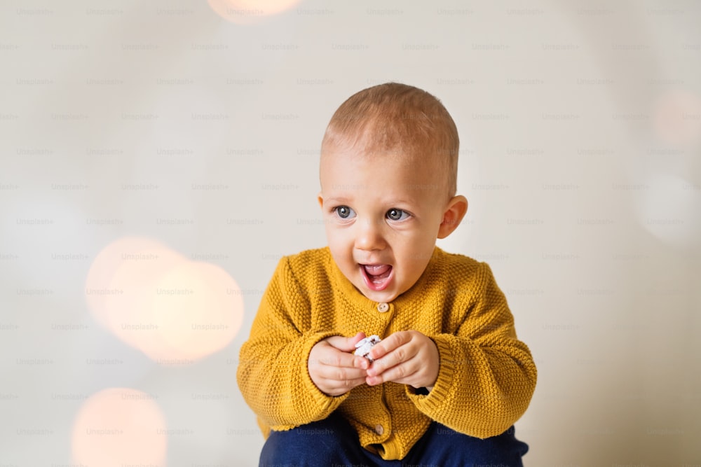 Portrait of a cute happy toddler boy.