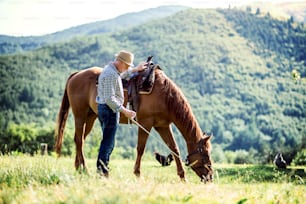 A happy senior man holding a horse by his lead outdoors on a pasture.