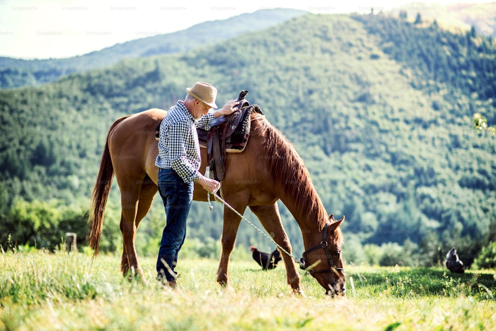 A happy senior man holding a horse by his lead outdoors on a pasture.