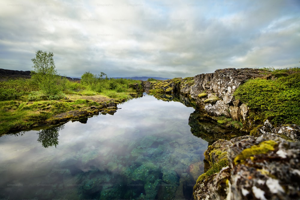 Un beau paysage islandais en été avec des collines en arrière-plan.