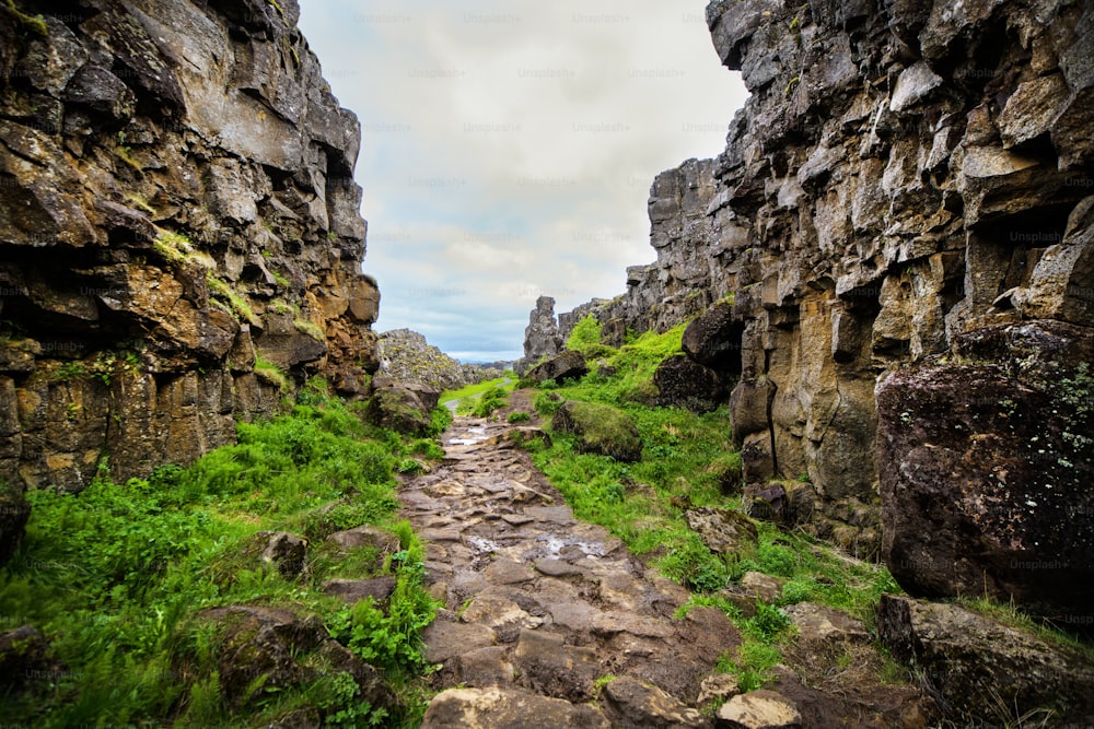 Un beau paysage islandais en été avec des collines en arrière-plan.