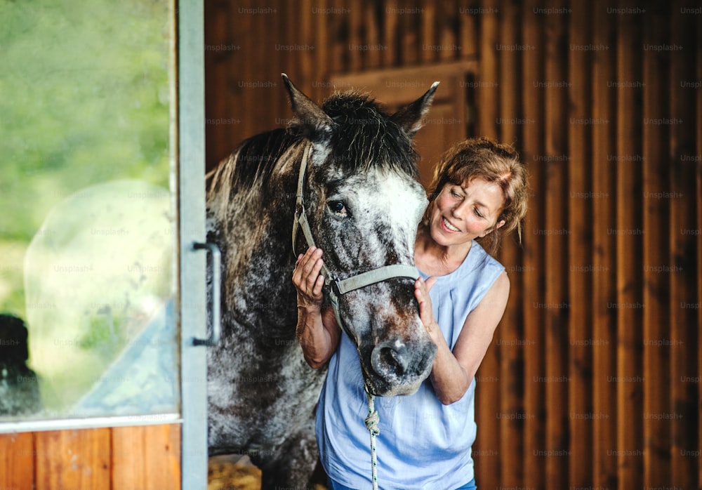 Uma mulher idosa feliz de pé perto de um cavalo em um estábulo, segurando-o.