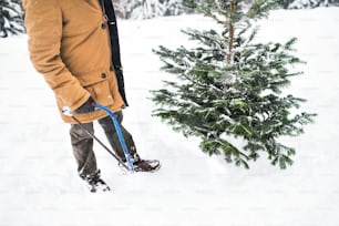Un anciano irreconocible que recibe un árbol de Navidad en el bosque. Día de invierno.