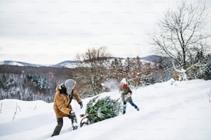 Großvater und ein kleines Mädchen bekommen einen Weihnachtsbaum im Wald. Wintertag.