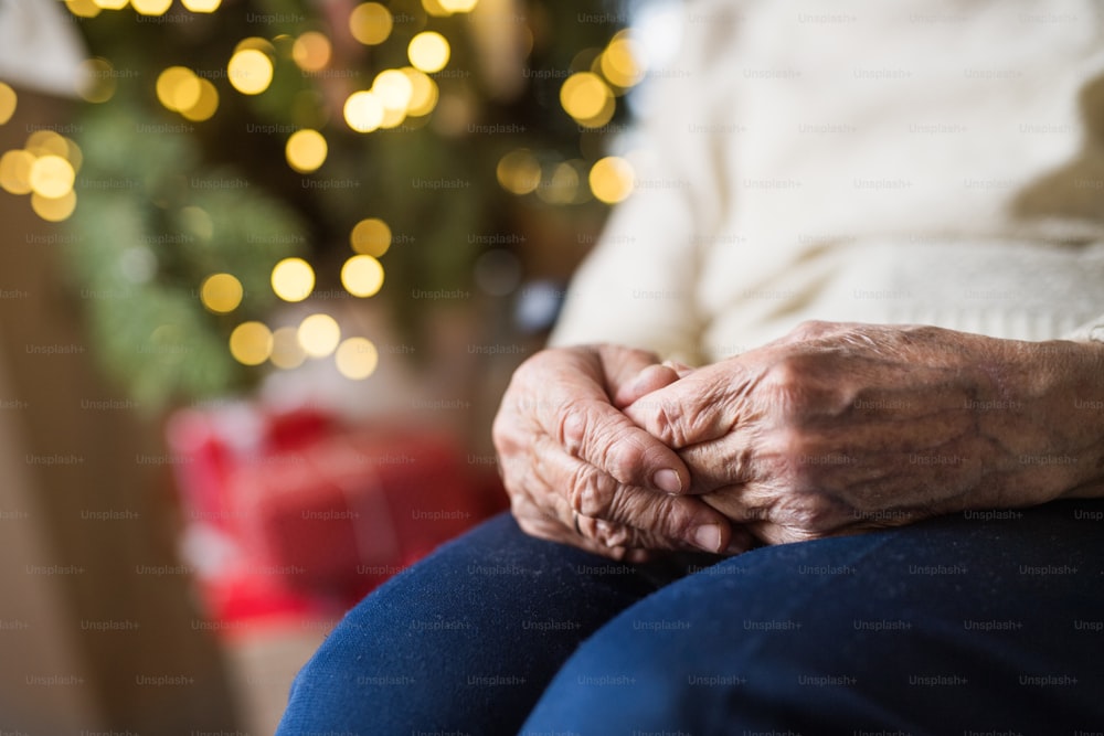 クリスマスの時期に自宅の肘掛け椅子に座っている見分けのつかない孤独な年配の女性の手と膝のクローズアップ。