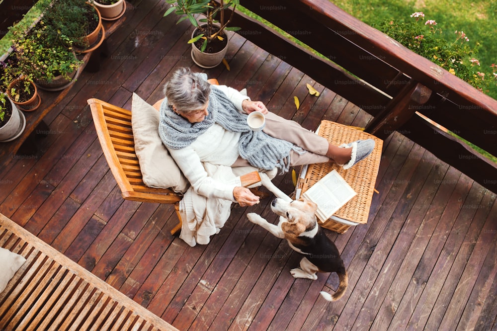 A top view of an elderly woman with a cup of tea or coffee sitting outdoors on a terrace on a sunny day in autumn, playing with a dog.