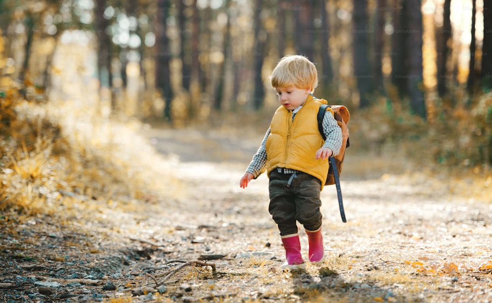 A toddler son with backpack standing on a road in an autumn forest. Copy space.