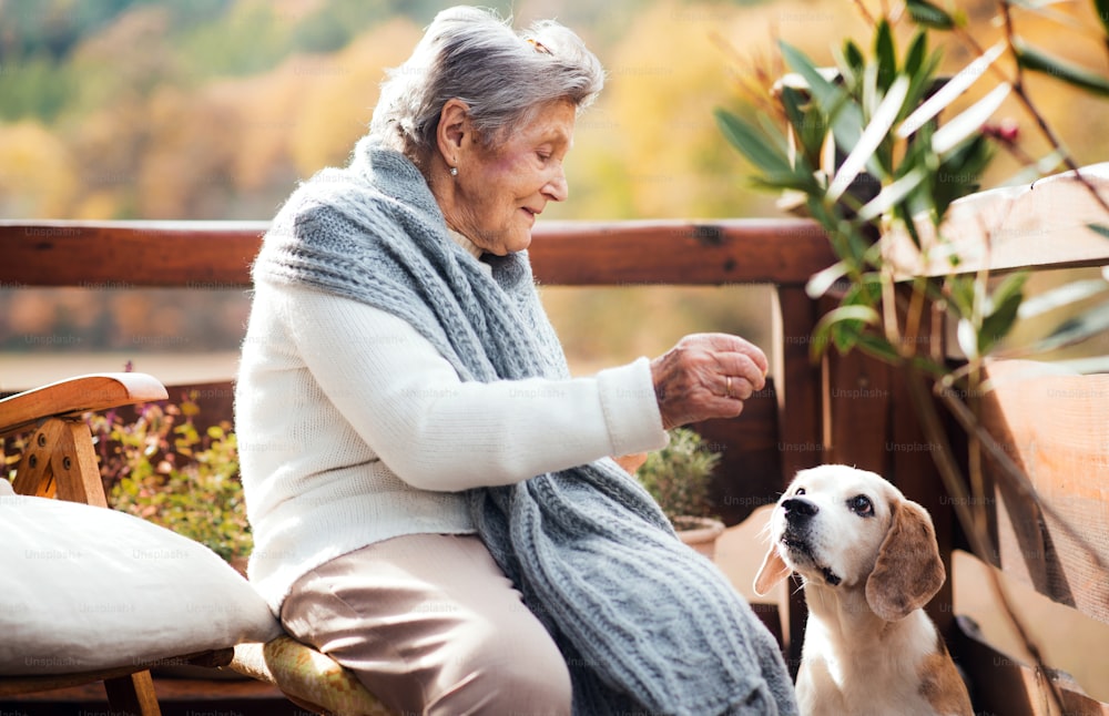 Eine ältere Frau, die an einem sonnigen Herbsttag draußen auf einer Terrasse sitzt und mit einem Hund spielt.