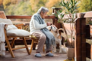 An elderly woman sitting outdoors on a terrace on a sunny day in autumn, playing with a dog.