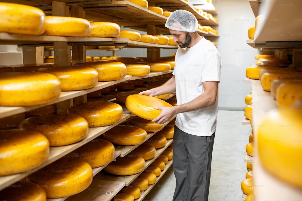 Trabajador que comprueba la calidad del queso en el almacén con estanterías llenas de ruedas de queso durante el proceso de maduración