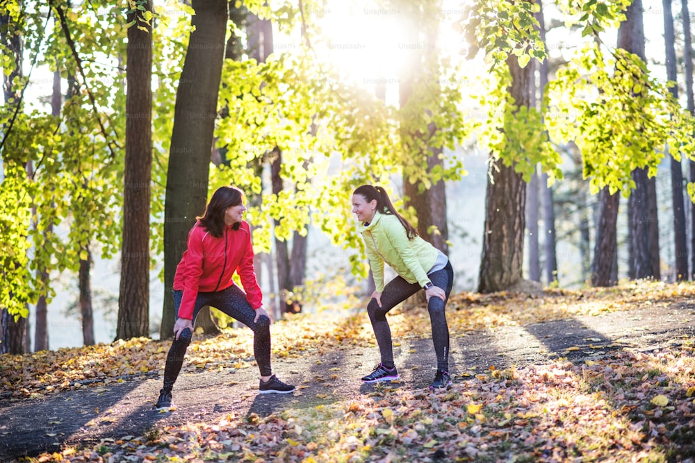 두 명의 활동적인 여성 주자가 달리기 후 가을 자연 속에서 숲에서 야외에서 스트레칭을 하고 있습니다.