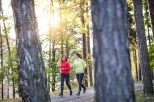 Two active female runners jogging outdoors in forest in autumn nature.