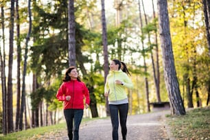 Zwei aktive Läuferinnen joggen im Freien im Wald in der herbstlichen Natur.
