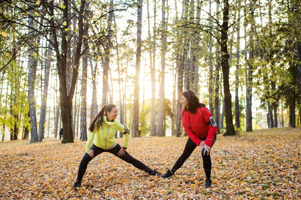 Dos corredoras activas estirándose al aire libre en el bosque en la naturaleza otoñal después de la carrera.