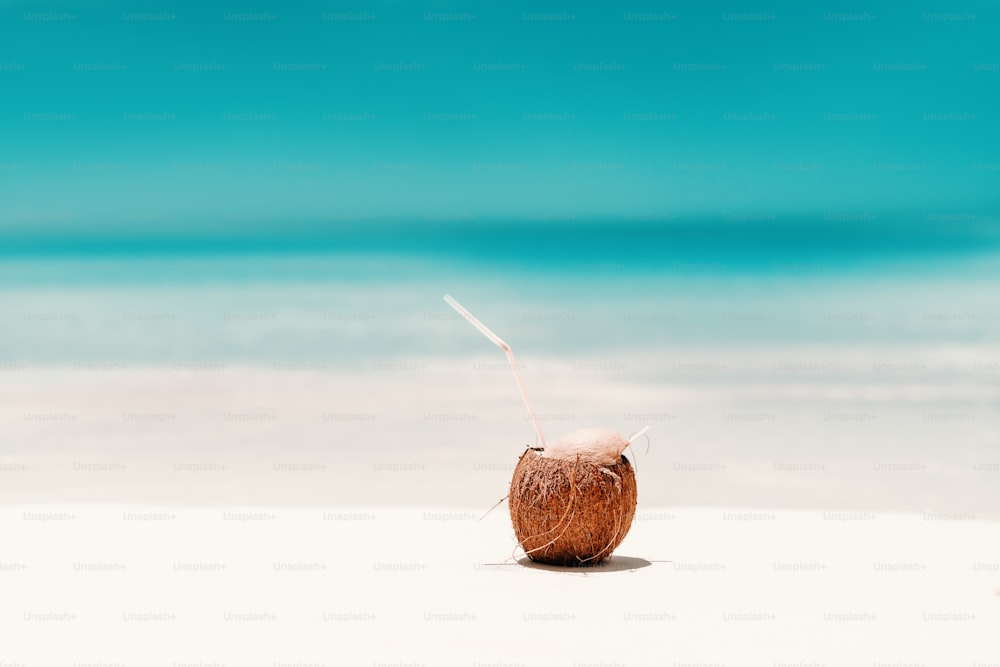 Picture of cocktail in coconut on the beach. In background ocean.