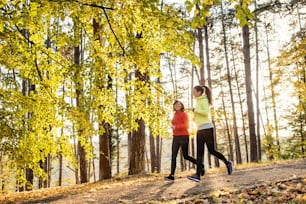 Due corridori femminili attivi che fanno jogging all'aperto nella foresta nella natura autunnale.