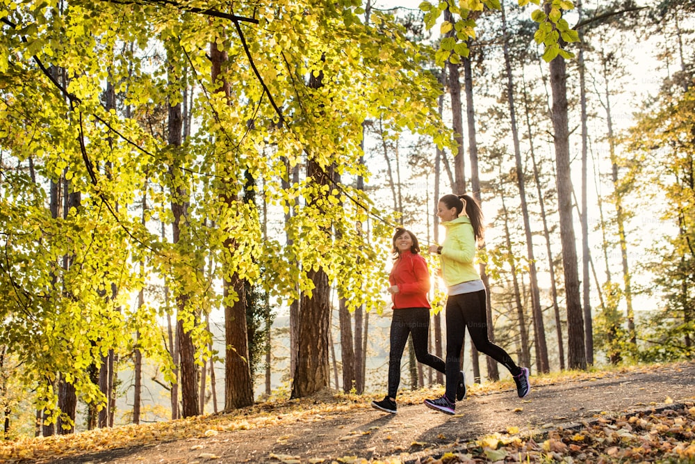 Deux coureuses actives font du jogging en plein air dans la forêt dans la nature d’automne.