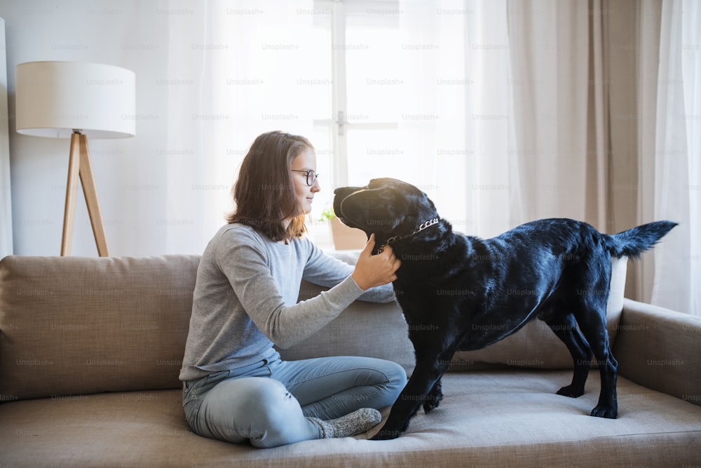 Adolescente sentada em um sofá dentro de casa, brincando com um cão de estimação preto.