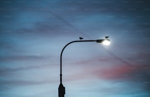 Una farola sobre un fondo nublado del crepúsculo. Espacio de copia.