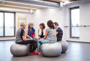 A group of cheerful seniors in gym resting after doing exercise on fit balls, talking.