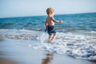 Um menino pequeno bonito com shorts andando na água na praia nas férias de verão.